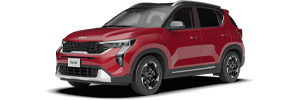 Sonet en color Vivid Red + Aurora Black Pearl